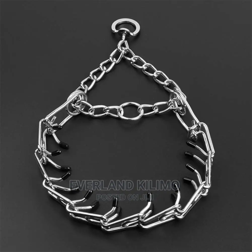 Prong Training Collar