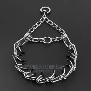 Prong Training Collar