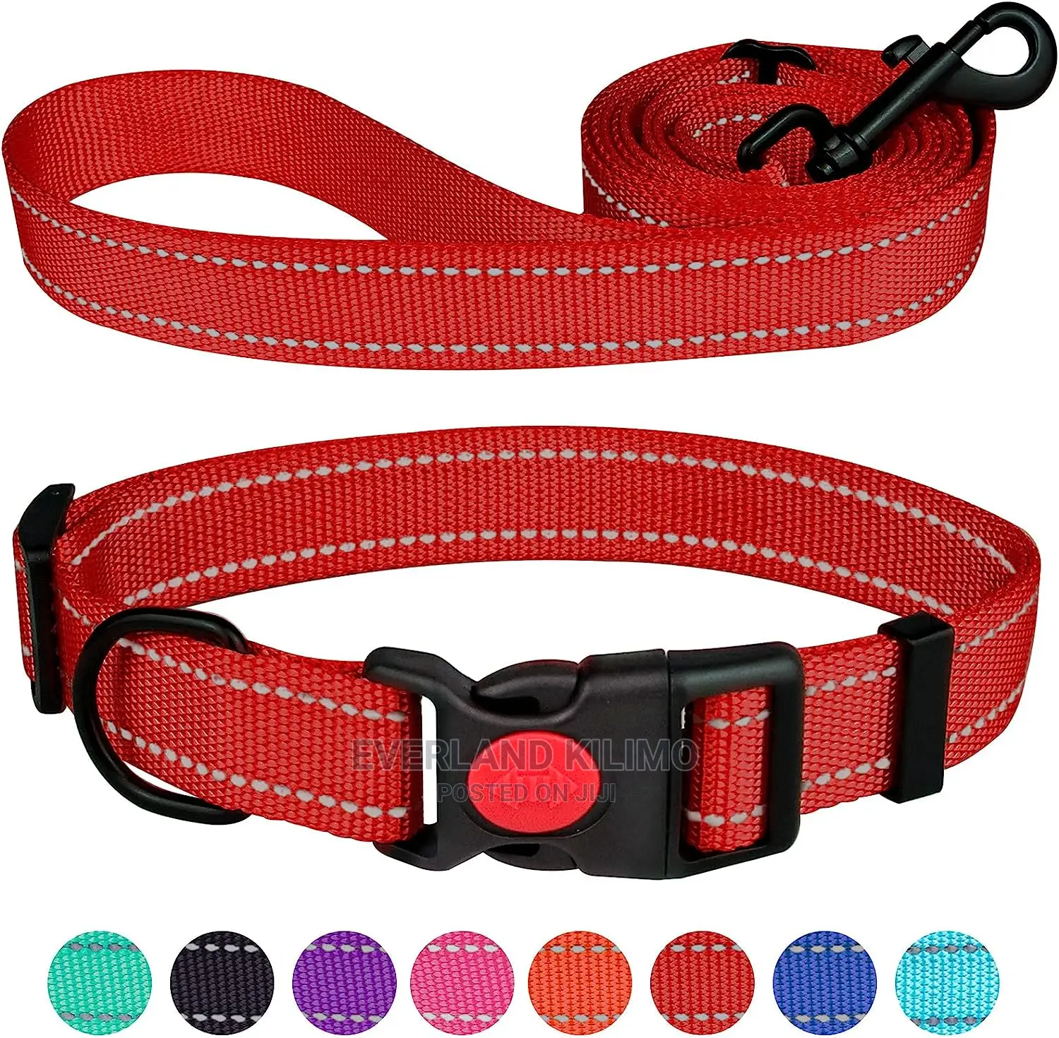 Strong Padded Leash and Collar