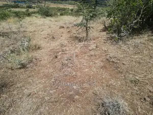 1 Acre Pieces After Corner Per Acre