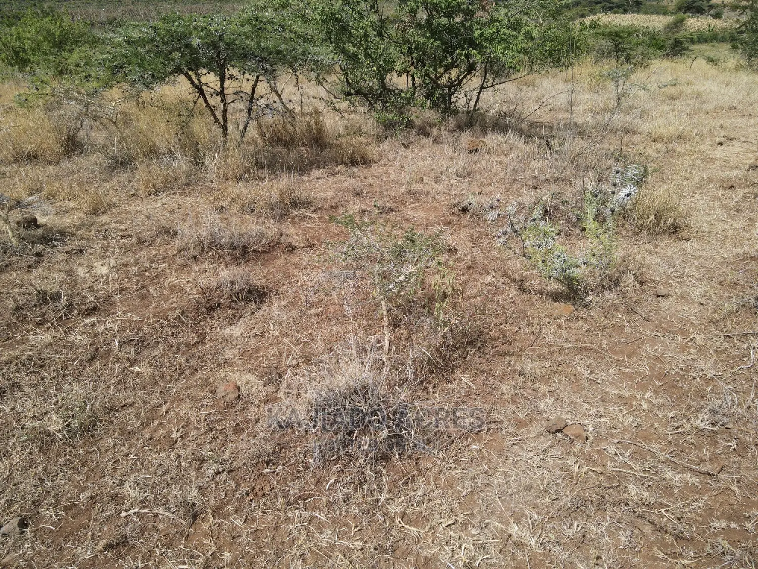 1 Acre Pieces After Corner Per Acre