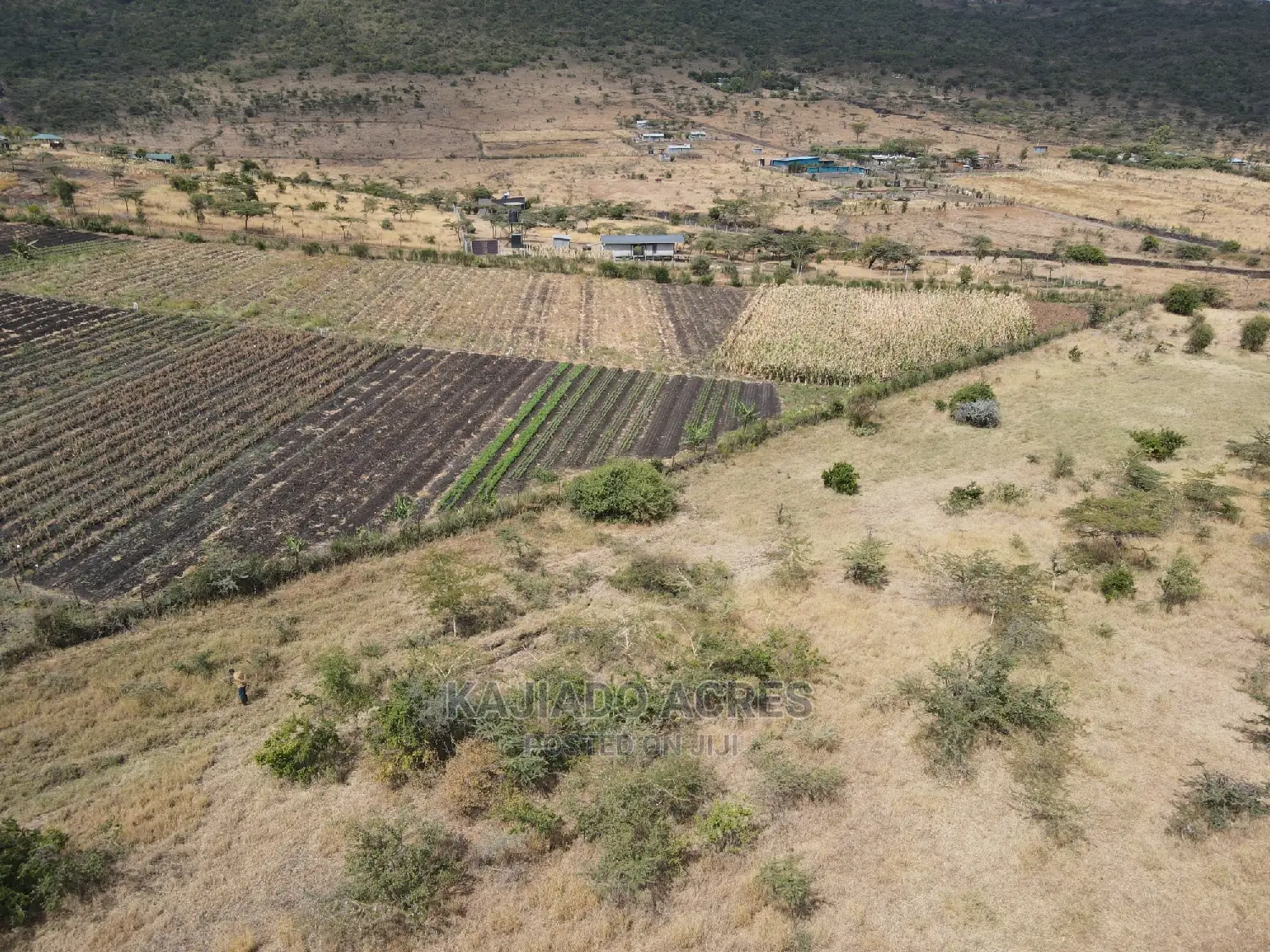 1 Acre Pieces After Corner Per Acre