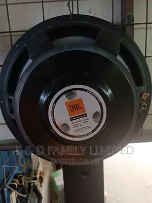 JBL Naked 15 Inch Speaker