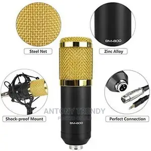 BM86 Professional Condenser Without Soundcard