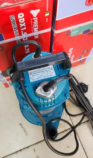 QDX 3hp Swallow Well Submersible Pump With Flex Cable 10M