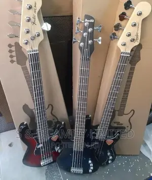 5 String Bass Guitar