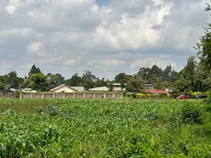 Prime Residential 1 Acre Land in Rironi Near Tilisi Estate