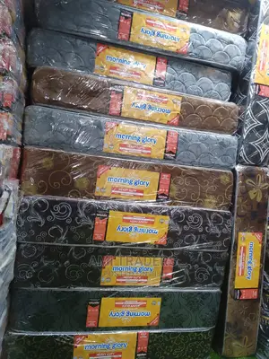 10" 5*6 Heavy Duty Flowered Matress