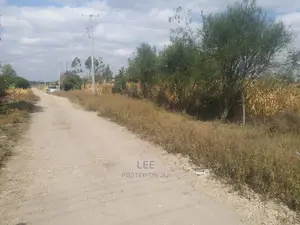 1 Acre Joska Land for Sale - Dual Variety Investment Opportunity