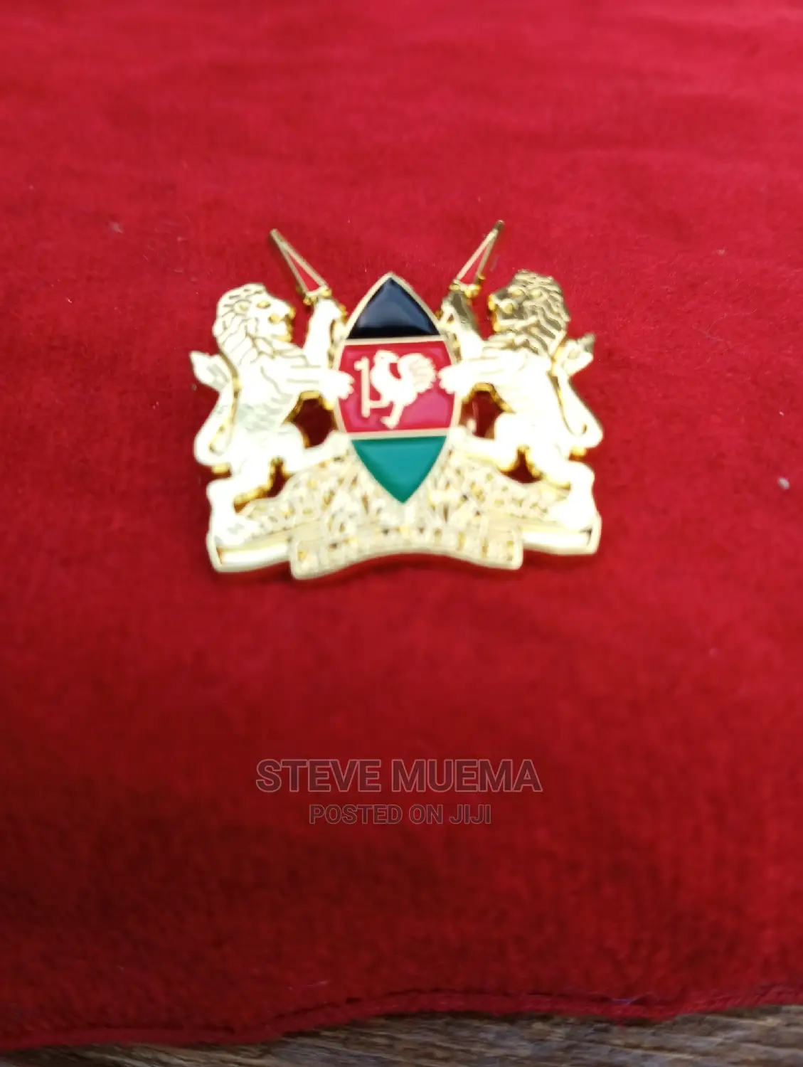 Coat of Arms Lapel Pin