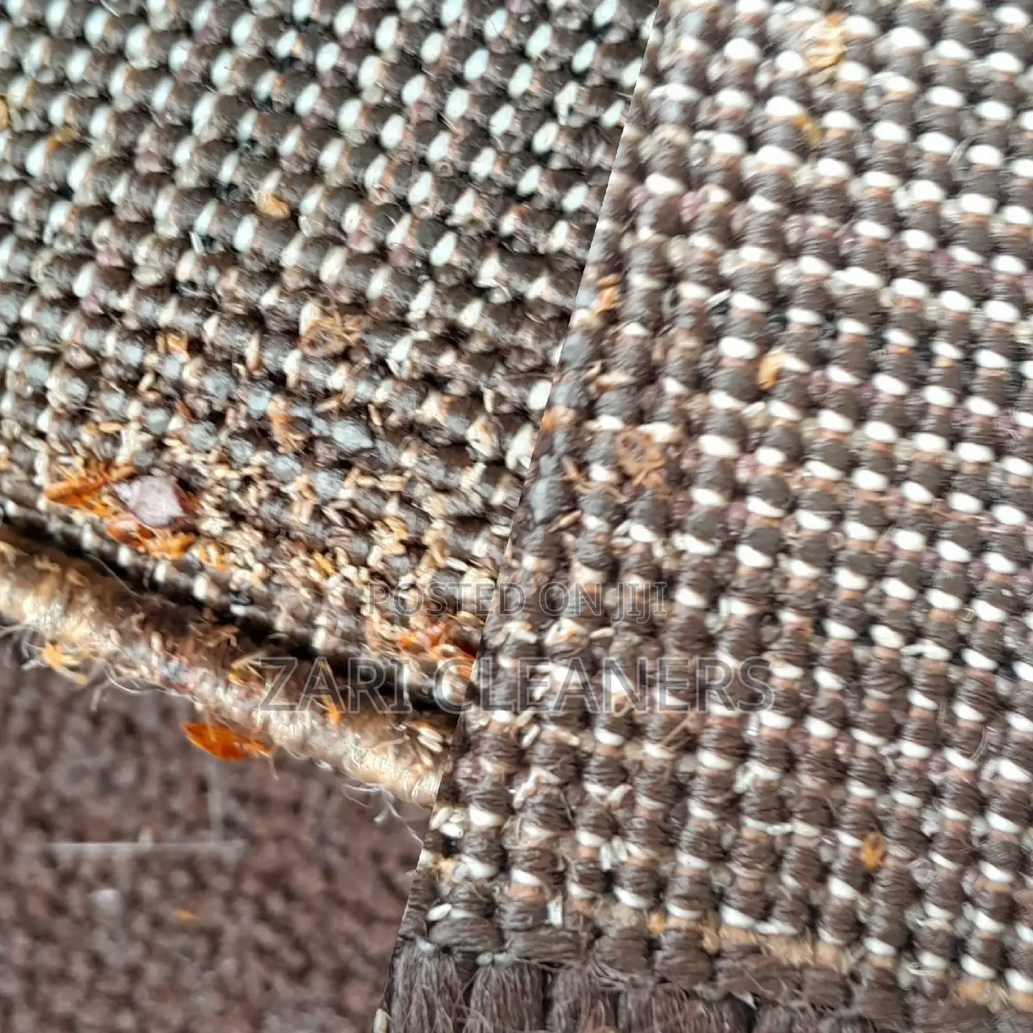 Bedbugs Elimination -Kisumu Nyalenda