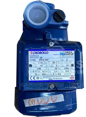 PKM 60 0.5hp Pedrollo Booster Pump
