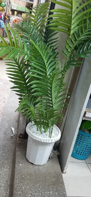 Elegant Artificial Plant