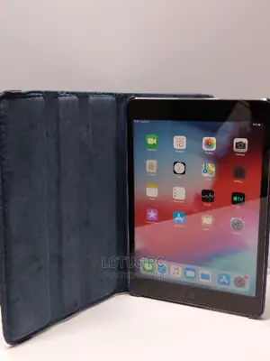 Apple iPad mini 2 16 GB Gray