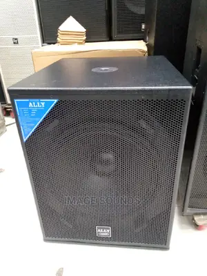Bass 18" Ally Audio Speaker 2000 Watts