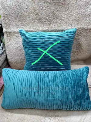 Elegant Velvet Throwpillow and Cases