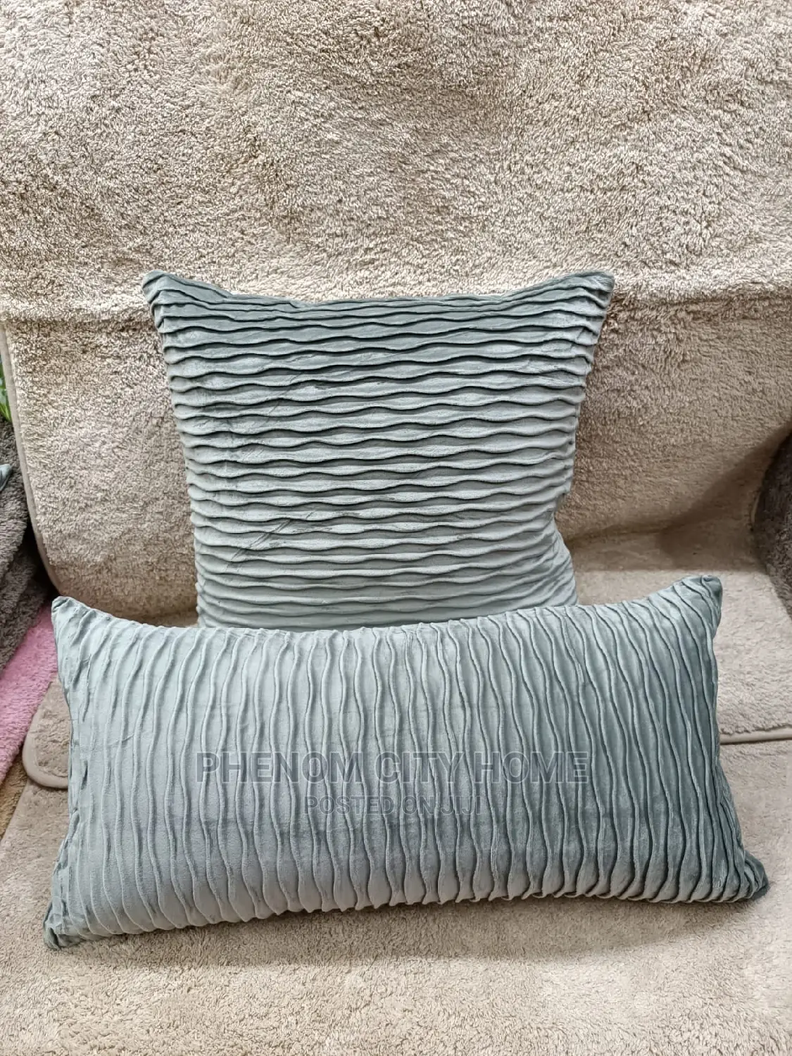 Elegant Velvet Throwpillow and Cases