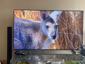 Samsung 65 Cu 8000 Latest 2023 Model