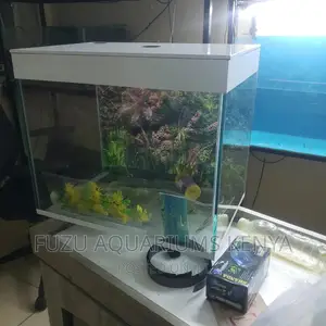 White Table Top Aquarium