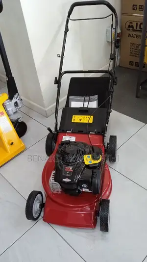 Briggs Stratton Lawnmowers