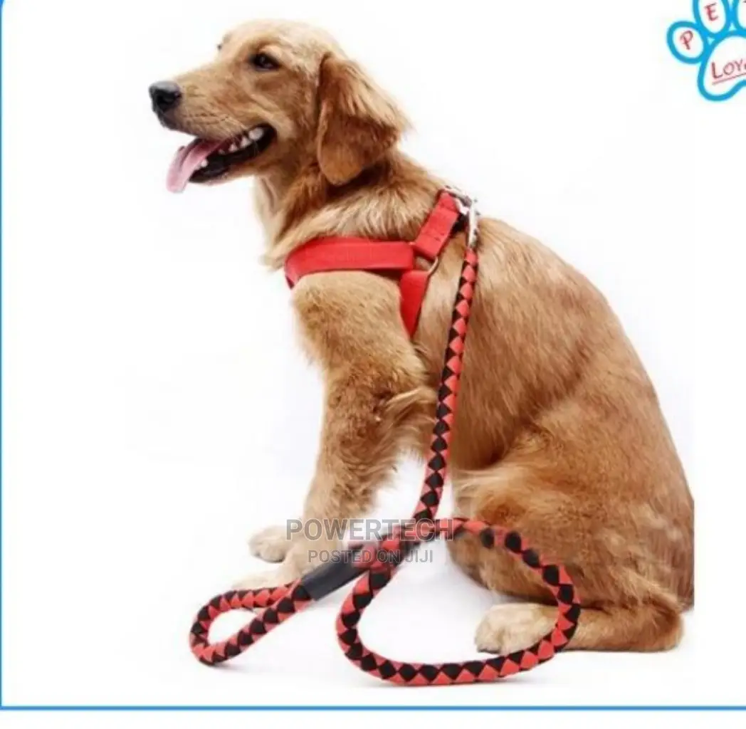 Pet High Quality Nylon Dog Harness and Leash Double Layer"