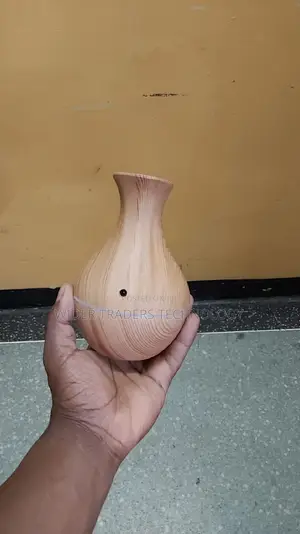 Ultrasonic Humidifier Aromatherapy Oil Diffuser Cool Mist