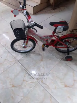Bicycle Kids Size 16.