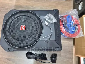 800 Watts 10 Inch Powered Swift Underseat Subwoofer