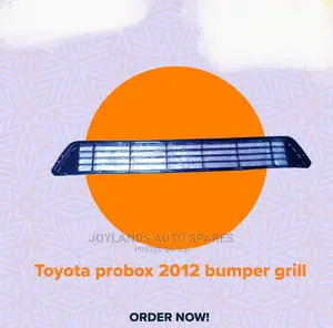 Probox 2012 Bumper Grille