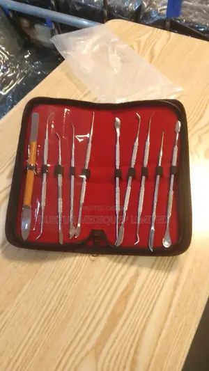 10pcs Dental Curving Set Stainless Steel