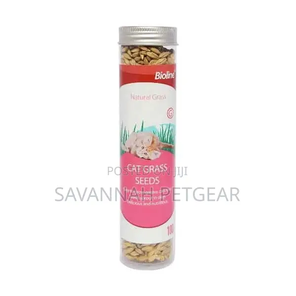 Bioline Cat Grass Seeds,100g