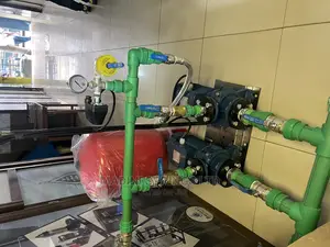 Dayliff Pressure Vessel Tank and Automatic Dual-Water Pump