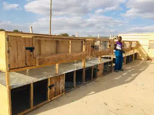 Chicken House / Poultry House
