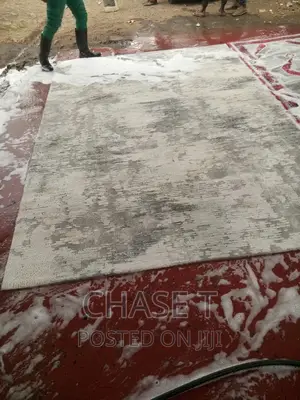Carpet Cleaning