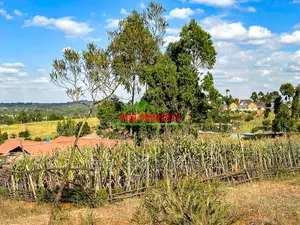 Residential Plots for Sale in Kikuyu ,Kamangu.