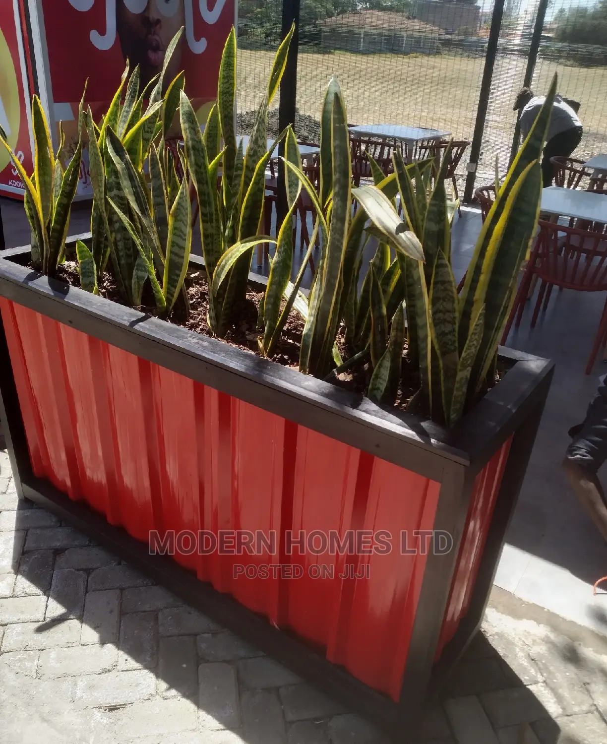 Exquisite Large Planters