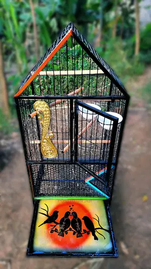 Pegions Parrot Cages
