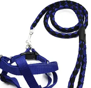 Woven Leash and Harness-Large