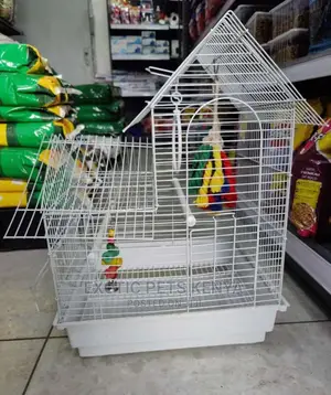 Bird Cages Medium Size Available