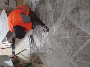 Sofa Mattress Carpet and Fumigation Services
