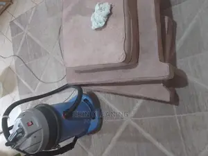 Sofa and Cushion Cleaning