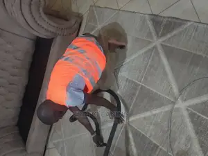 Experienced Carpet Cleaning