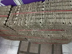  at 1500, 100pcs Egg Trays