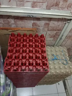 Plastic Egg Trays