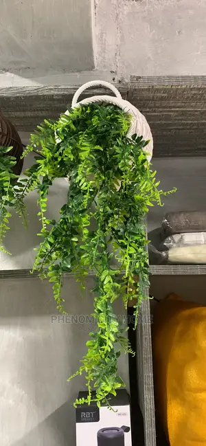 Wall Hanging Flowers Available