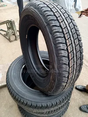 225/70r17 Dunlop