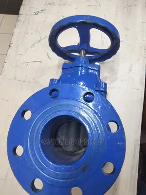Gate Valve 4 Inch