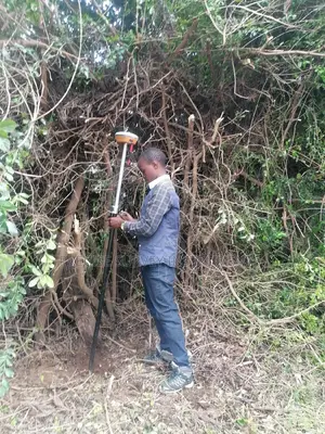 Licensed Land Surveyor