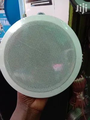 5 Core Ceiling Speaker