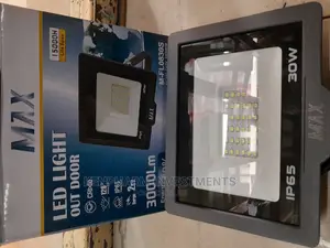 LED Flood Light 30 Watts